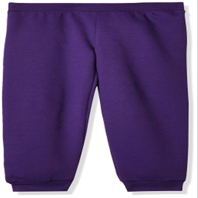 Hanes Girls Comfortsoft Ecosmart Jogger Pants, Purple Thora, Medium US