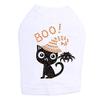 Cat with Spider Hat - Halloween and Fall Dog Rhinestone Bling Shirt, 3XL White view 1