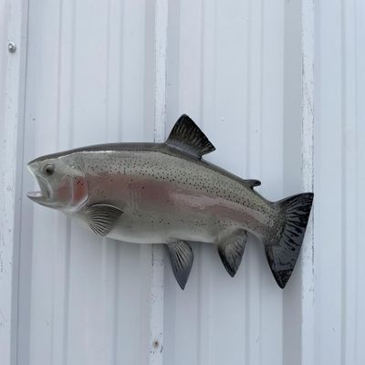 21 " Rainbow Trout Fish Wall Mount Fish Replica Trophy, for Restaurant Owners, Vacation Homes, Outdoors and Indoors, Fish Replicas by Mount This Fish Company