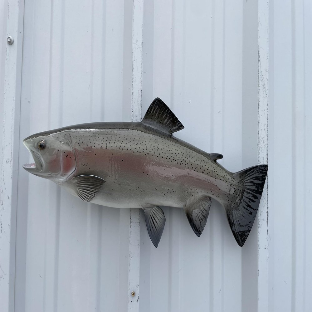 21 " Rainbow Trout Fish Wall Mount Fish Replica Trophy, for Restaurant Owners, Vacation Homes, Outdoors and Indoors, Fish Replicas by Mount This Fish Company 