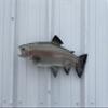 21 " Rainbow Trout Fish Wall Mount Fish Replica Trophy, for Restaurant Owners, Vacation Homes, Outdoors and Indoors, Fish Replicas by Mount This Fish Company  view 4