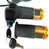 L-faster 250W Brush Motor with Controller and Accelerator Handle Bicycle Throttle with Indicator and Key Switch(Without Foot Bracket) view 4