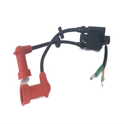 Boat Motor Ignition Coil Assy 6F5-85570-13 10 11 12 for Yamaha Outboard F 9.9HP F13.5 F15 20HP F25 15HP 40HP K40 2 Stroke Engine