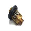 Boat Motor Cylinder Thermostat for Yamaha Outboard F 4HP - 70HP 66M-12411-01 6G8-12411 60 degrees 4-stroke Engine view 3