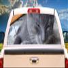 SignMission Grey CAT Rear Window Graphic Truck View Thru Vinyl Decal Back view 1