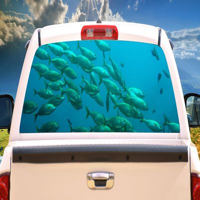 SignMission Fishing School Rear Window Graphic Truck View Thru Vinyl Decal Back