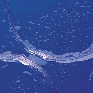 Royal Wulff Sea Wulff Fluorocarbon Tippet Ultra-Clear, IGFA Class, 25 Yard Spool - 50LB