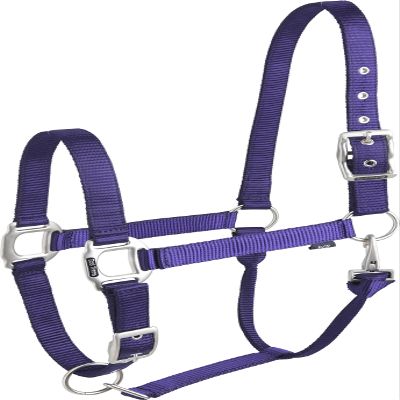 Equi-Theme/Equit'M Unisex's 510081015 clat Headcollar, Purple, One Size