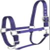 Equi-Theme/Equit'M Unisex's 510081015 clat Headcollar, Purple, One Size view 1