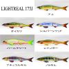 Attic LIGHTREAL S175J Oikawa view 2