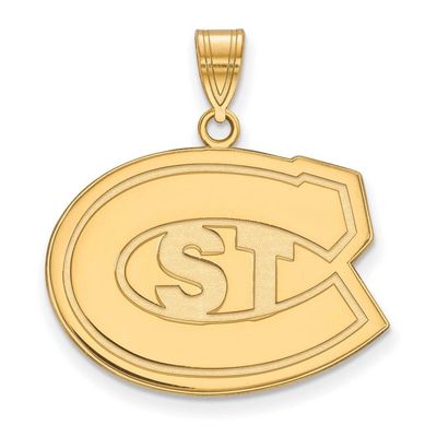 St. Cloud State Large (3/4 Inch) Pendant (10k Yellow Gold)