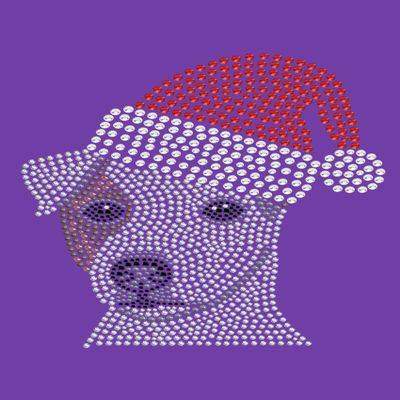 Dog in the Closet Jack Russell Terrier with Santa Hat- Bling Christmas Bandana -