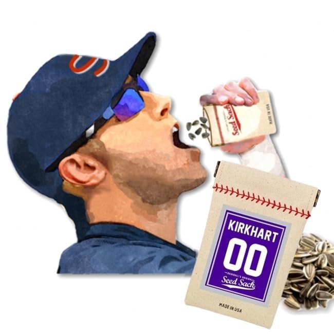 Baseball's Original Seed Sack- Customized (Purple) Take it on The Baseball Field!