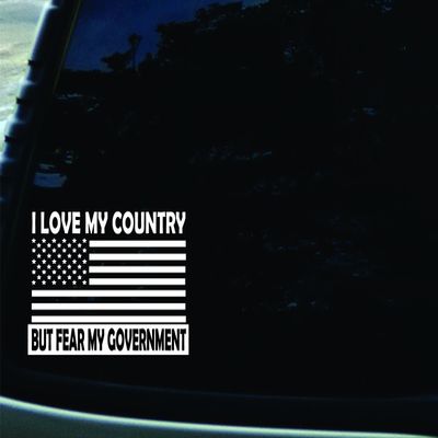 7" X 4" I Love My Country but Fear My Government Vinyl DIE CUT decal for your car, truck, window, laptop, MacBook