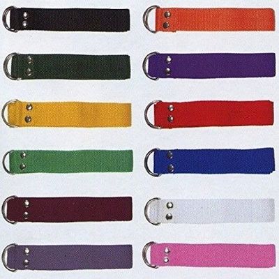 Martin New 1 Single Football Pant Nylon Belt 12 Color Choices One Size Fits All (Maroon)