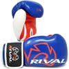 RIVAL Boxing RB7 Fitness Plus Bag Gloves, Ergo Strap System and High-Density Layered Padding for Heavy Bag and Mitt Work view 1