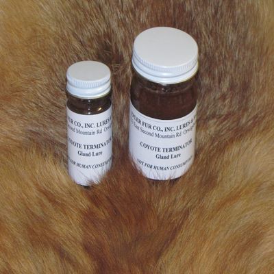 Epler Coyote Terminator (1, 1 oz.