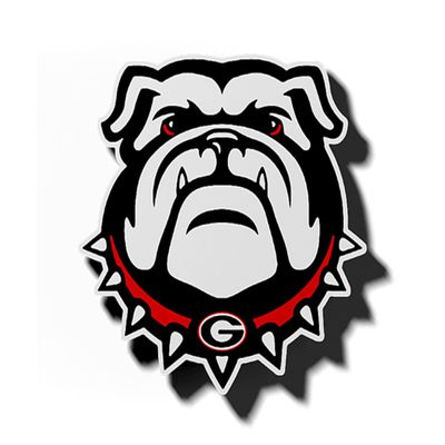 Craftique University of Georgia Bulldog Head Magnet-12 Inch