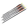 3 Pack of SAS Takedown Arrows 400 Spine 31" view 1