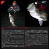 Apia Lures Hydro Upper 90S #05 Bora view 3
