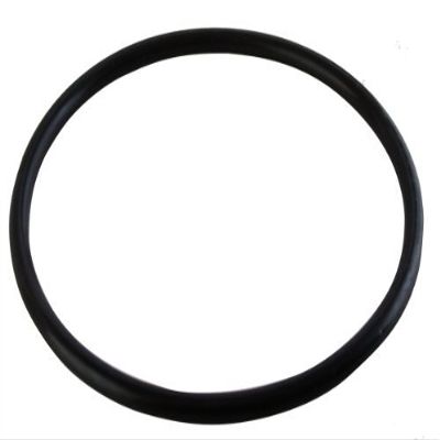 1 X R172009 Cap Gasket for Rainbow Chlorinator, Model: , Outdoor & Hardware Store