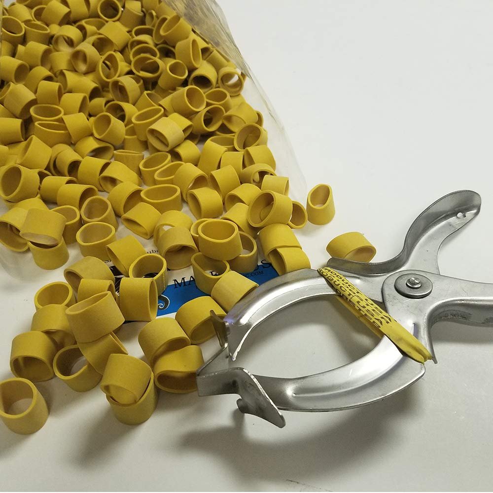 JCS Standard/Shipper Lobster Claw Bands and Claw Band Tool Kit. 1 LB Bag (About 350 PCS.), Yellow