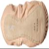 Bloch Dance Girl's Belle Full-Sole Leather Ballet Slipper/Shoe, Pink, 12.5 B US Little Kid view 4