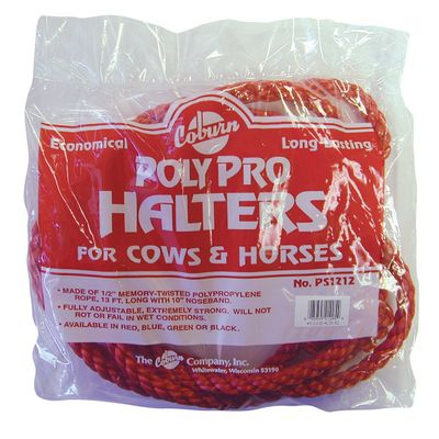 Coburn Bagged Polypro Cow Halter, Red