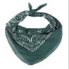 Gravity Threads Super Italian Brothers Costume Kit, Hat Sunglass Bandana Paisley Forest Clear view 2