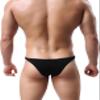iKingsky Men's Soft Low Rise Bikini Underwear Sexy Mid Coverage Back Briefs (Medium, Black) view 3