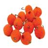 CREATIVE ANGLER 12 Piece Salmon Egg Fly - Fly Fishing Accessories - Premium Fly Fishing Flies for Trout, Steelhead, and Salmon, Size 10, Orange view 2