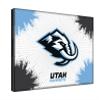 Arizona Coyotes 24" x 32" Officially Licensed Logo Canvas by the Holland Bar Stool Co. view 2