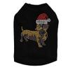 Dog in the Closet, Dachshund # 2 with Santa Hat - Dog Tank view 1