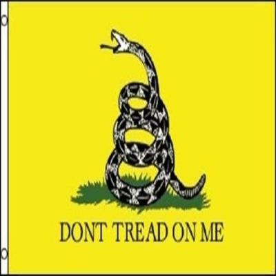Yellow Gadsden Dont Tread On Me Flag 12x18 Inch Boat Bike Cycle Grommet Flag