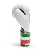 LEONE 1947, Italy'47 Boxing Gloves 10oz. GN039 view 3