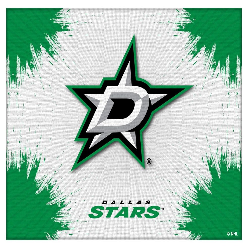 Dallas Stars 15" x 20" Officially Licensed Logo Canvas by the Holland Bar Stool Co.