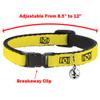 Buckle-Down Breakaway Cat Collar - Elsa the Snow Queen Poses/Snowflakes LET IT GO Blues/White - 1/2" Wide - Fits 8-12" Neck - Medium view 3