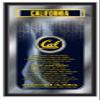 Holland Gameroom Cal Fight Song Mirror view 1