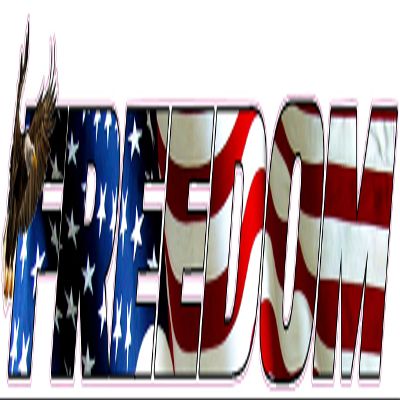Freedom American Eagle Lettering Large Decal 24"