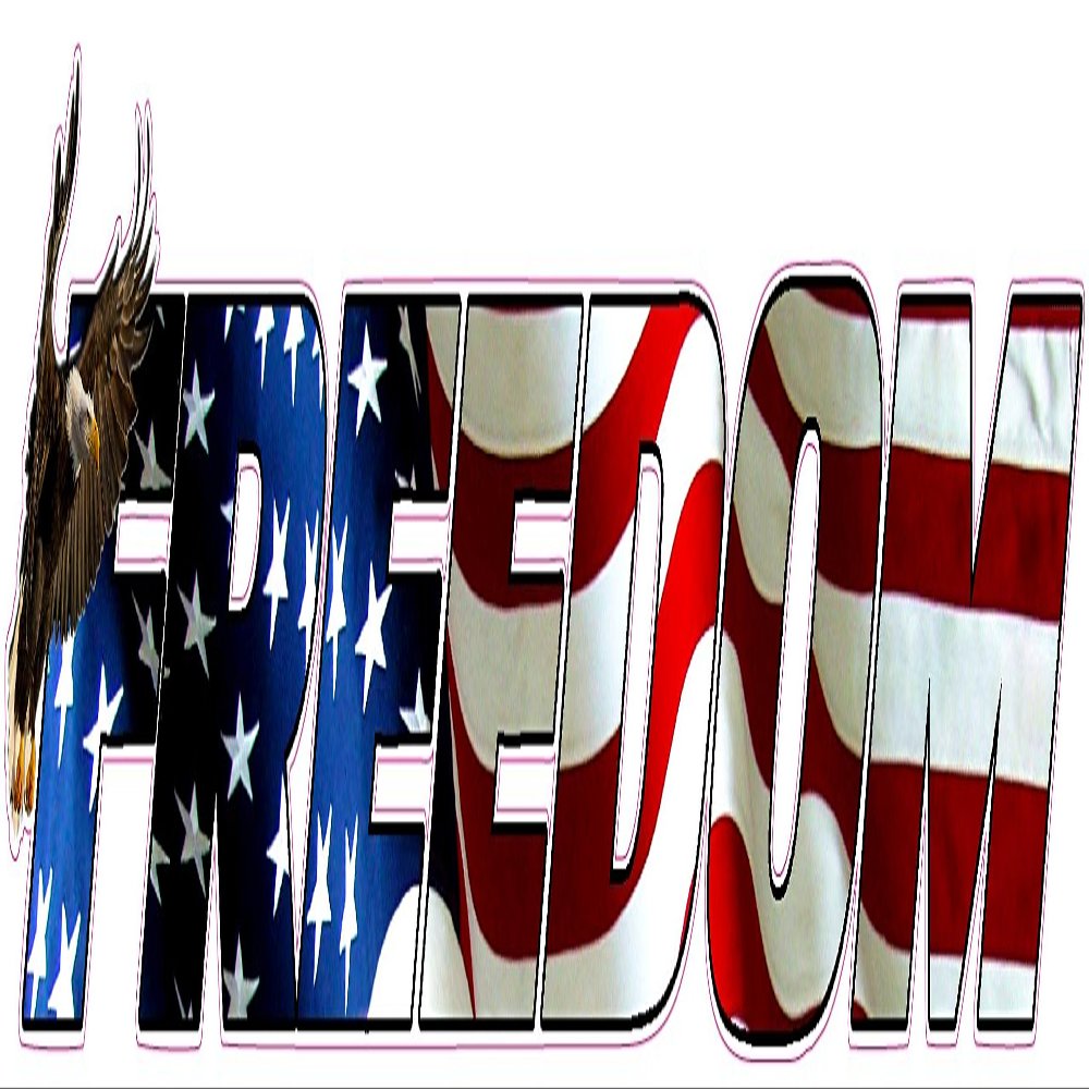 Freedom American Eagle Lettering Large Decal 24"
