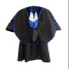Grad Days Doctoral Graduation Gown Unisex Deluxe Royal Blue Velvet Gold Piping (RB48), 48''(5'3''-5'5'') view 3