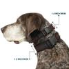 Dog Collar Plastic Clip Micro Polka Dots Transitions Black Red 6 to 9 Inches 0.5 Inch Wide view 2