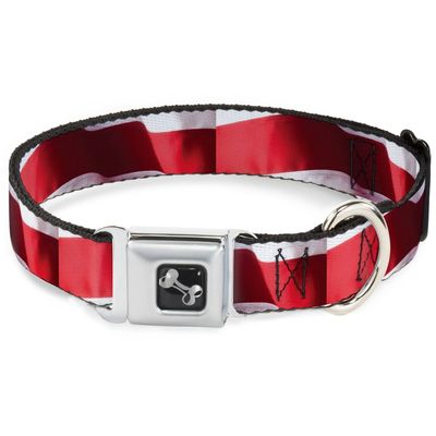 Dog Collar Seatbelt Buckle American Flag Vivid Stripes Close Up Red White 11 to 17 Inches 1.0 Inch Wide
