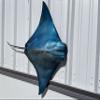 in Stock - 40" Blue Cownose Ray Half Sided Fish Mount Replica - Affordable Coastal Decor - Indoors Or Outside view 2