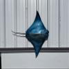 in Stock - 40" Blue Cownose Ray Half Sided Fish Mount Replica - Affordable Coastal Decor - Indoors Or Outside view 4