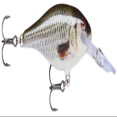 Rapala ROL SR7-ROL Crankbait Shad Trap, 2.8 inches (7 cm), 0.3 oz (8 g), Live Brooch Lure