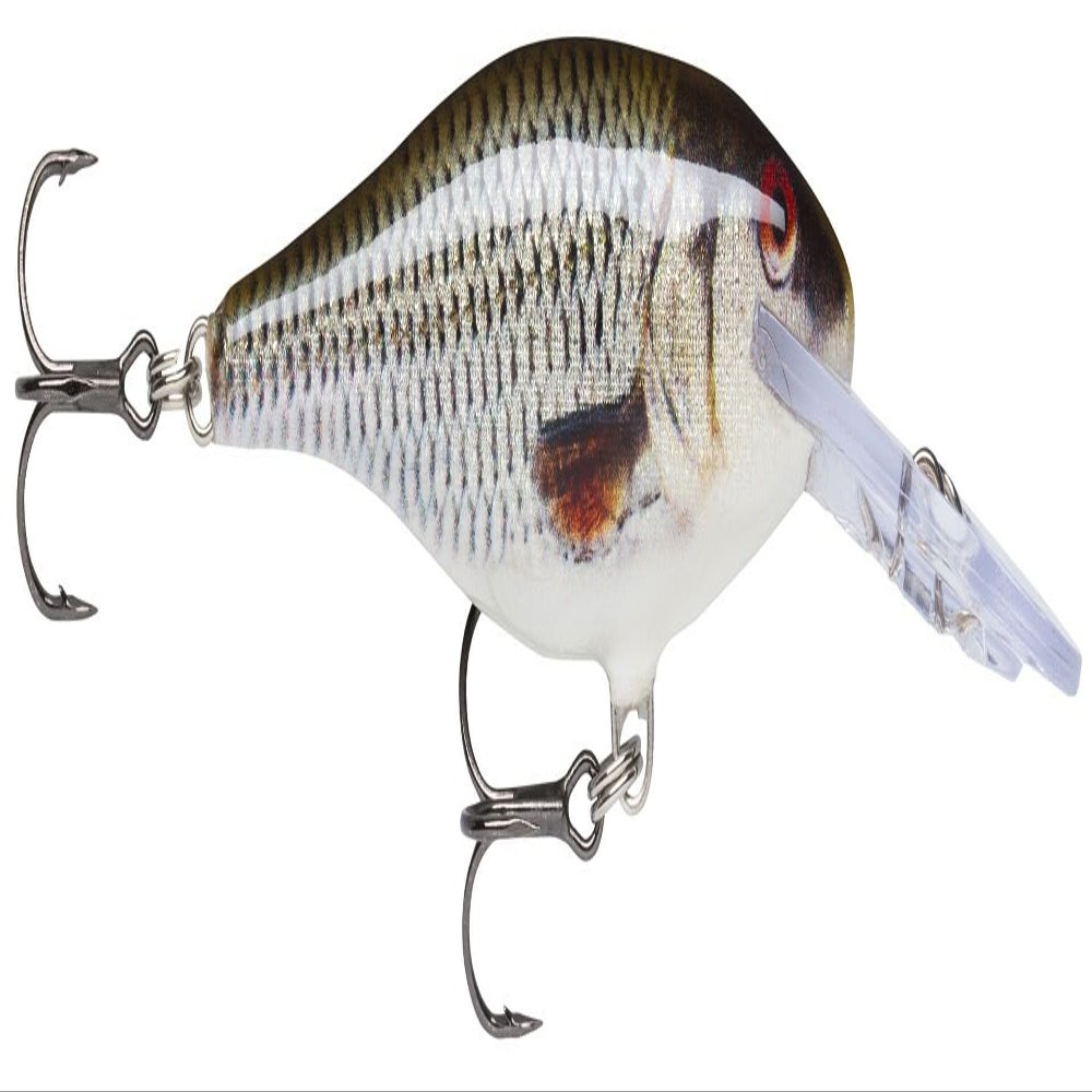 Rapala ROL SR7-ROL Crankbait Shad Trap, 2.8 inches (7 cm), 0.3 oz (8 g), Live Brooch Lure
