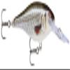 Rapala ROL SR7-ROL Crankbait Shad Trap, 2.8 inches (7 cm), 0.3 oz (8 g), Live Brooch Lure view 1