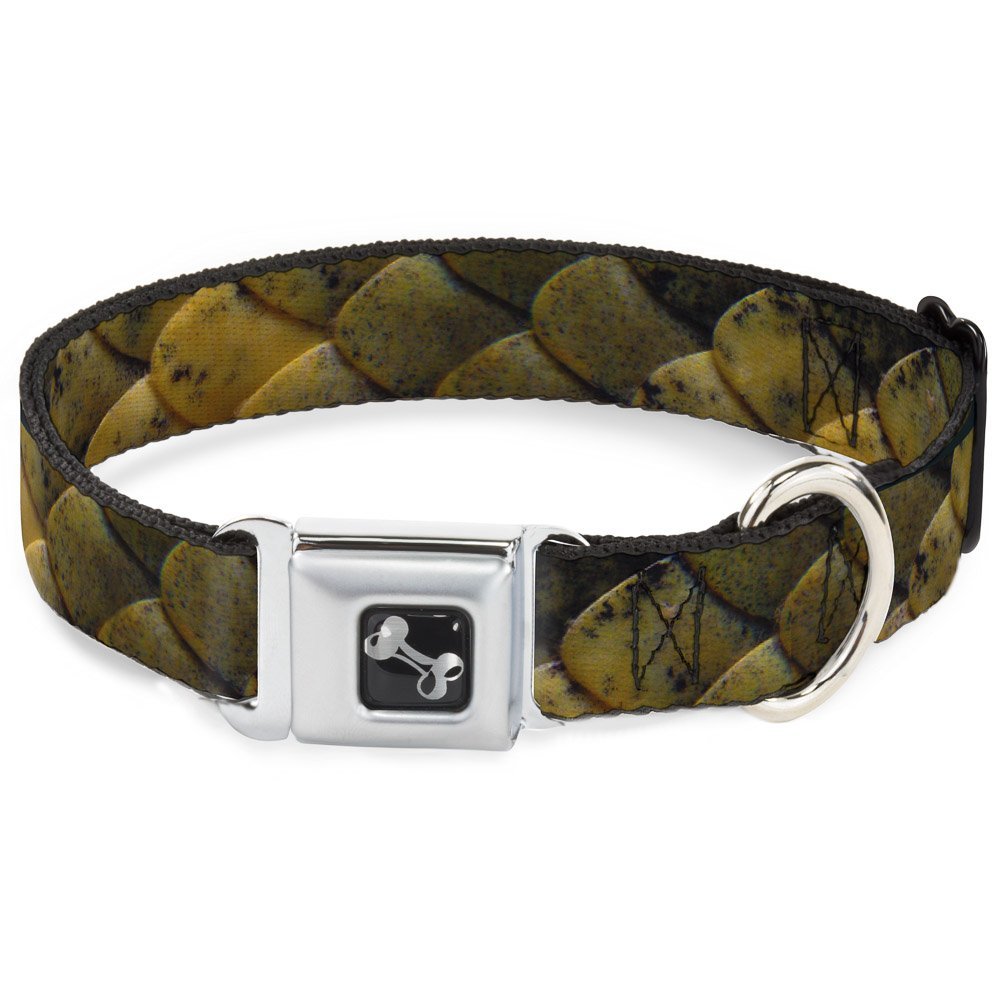 Dog Collar Seatbelt Buckle Snake Skin Close Up 11 to 17 Inches 1.0 Inch Wide