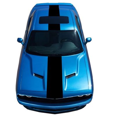 16 Inch Vinyl Racing Stripes (Fits Dodge Challenger) Pink